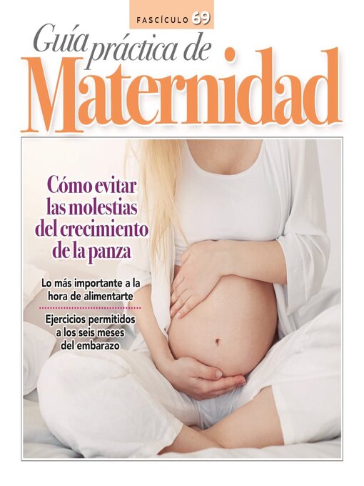 Cover image for Guía práctica de Maternidad